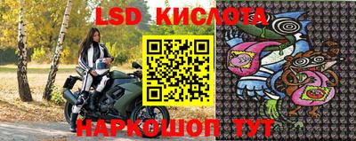 гидропоника Камышлов