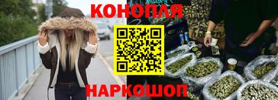 прущие грибы Канаш