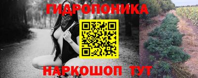 гидропоника Камышлов