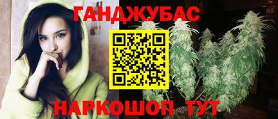 гидропоника Камышлов