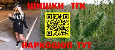 гидропоника Камышлов