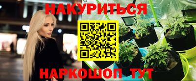гидропоника Камышлов
