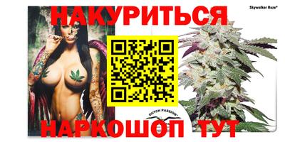 прущие грибы Канаш