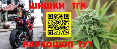 гидропоника Камышлов