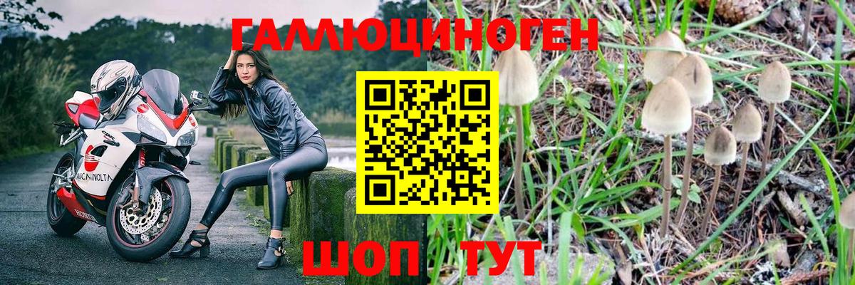 Галлюциногенные грибы мицелий Заволжье