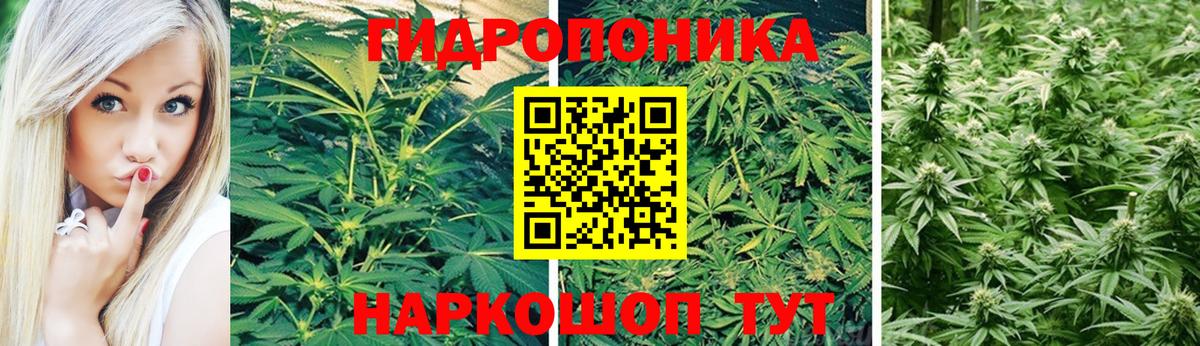 МАРИХУАНА конопля  Вход с VPN  Заволжье  Бошки марихуана White Widow  Конопля Ganja  Бошки марихуана THC 21% 